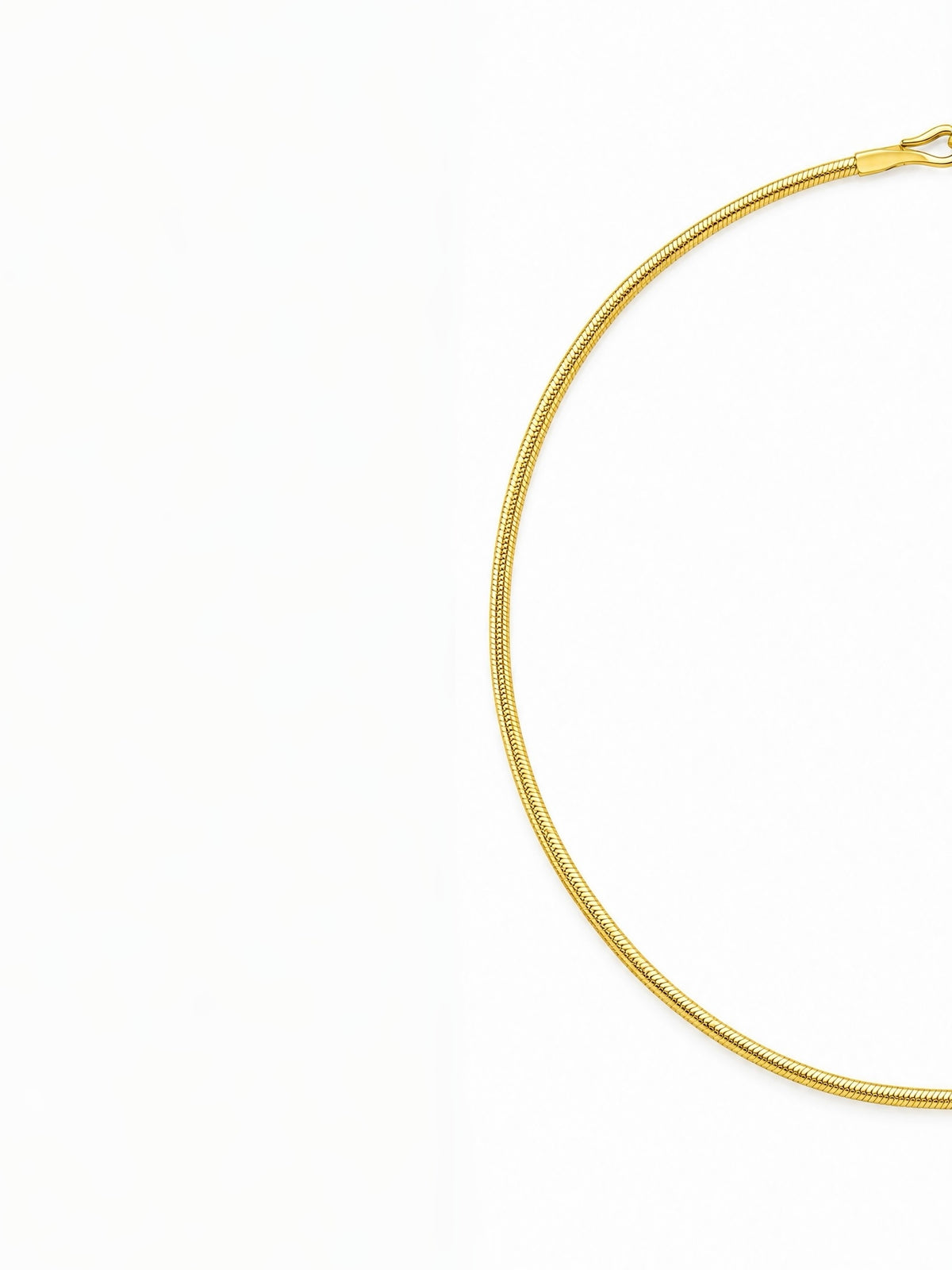 Gold flat snake chain necklace detail